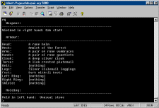 Displaying Current Equipment In Use